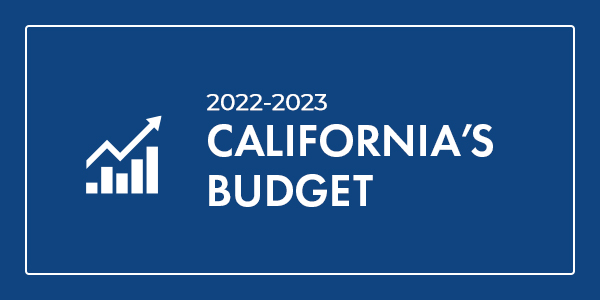 2020-2021 Budget